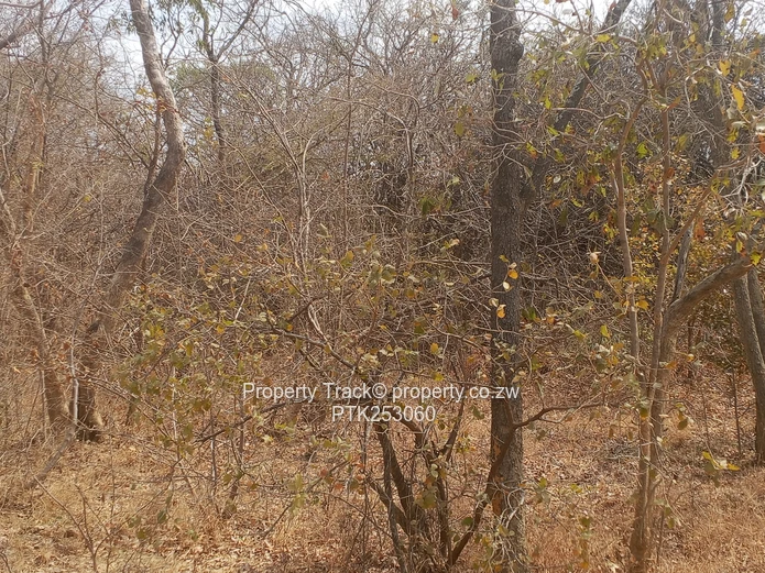 Prime 20-Agro-residential plot!