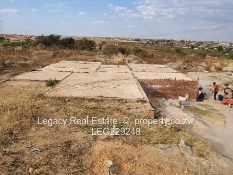 Zimre Park Stand for Sale