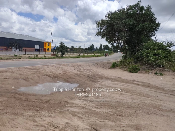 Msasa industrial stand