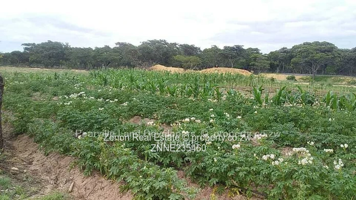 15ha plots in Mvuma , 20km from masvingo highway.immediate occupation on deposit.74k