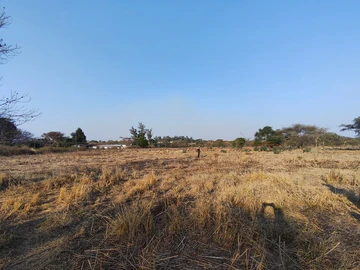 Farm & Agricultural Land