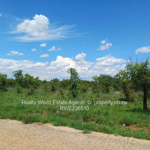 Masvingo Clipsham Stand For A School 