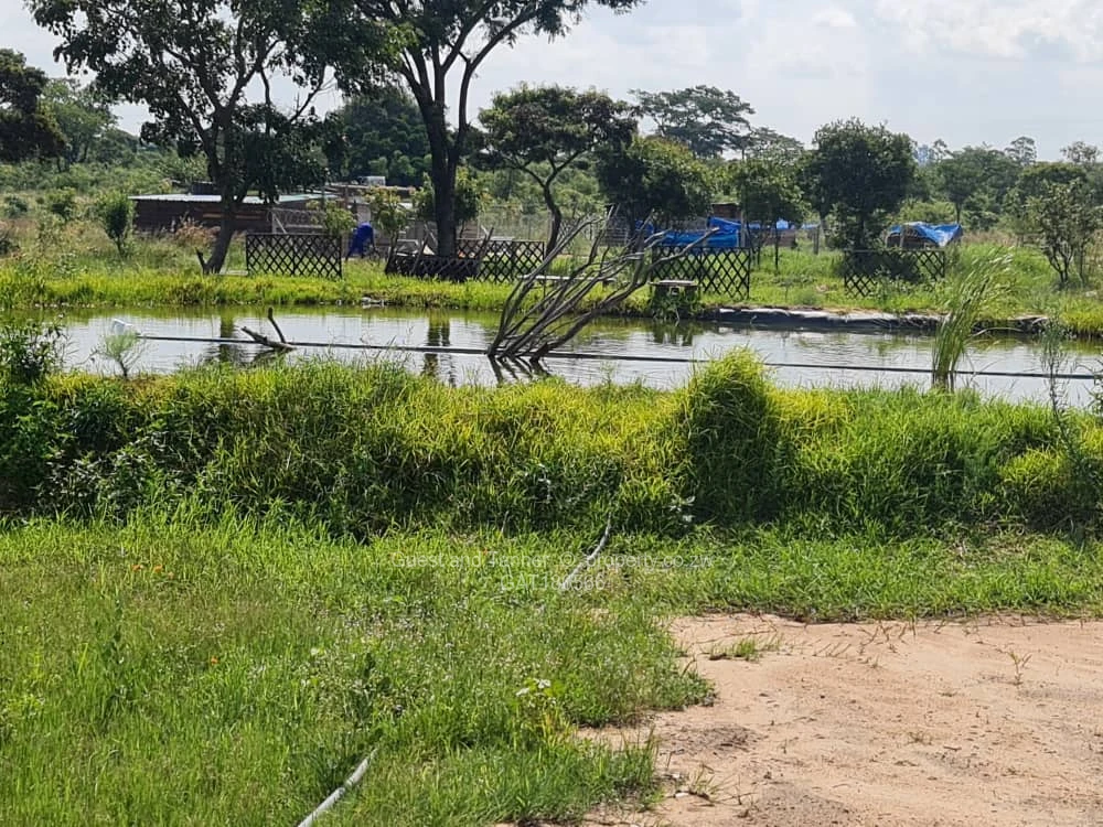 Farms & Agricultural Land for Sale in Ruwa GAT180566