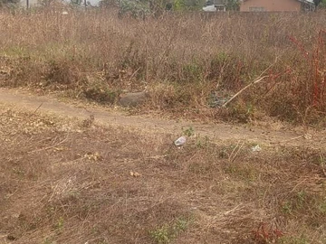 Commercial & Industrial Land