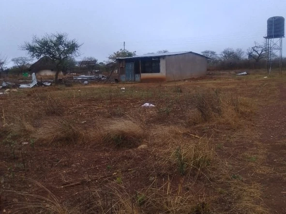 Farm & Agricultural Land
