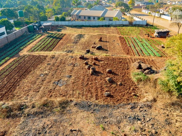 Stands & Residential Land