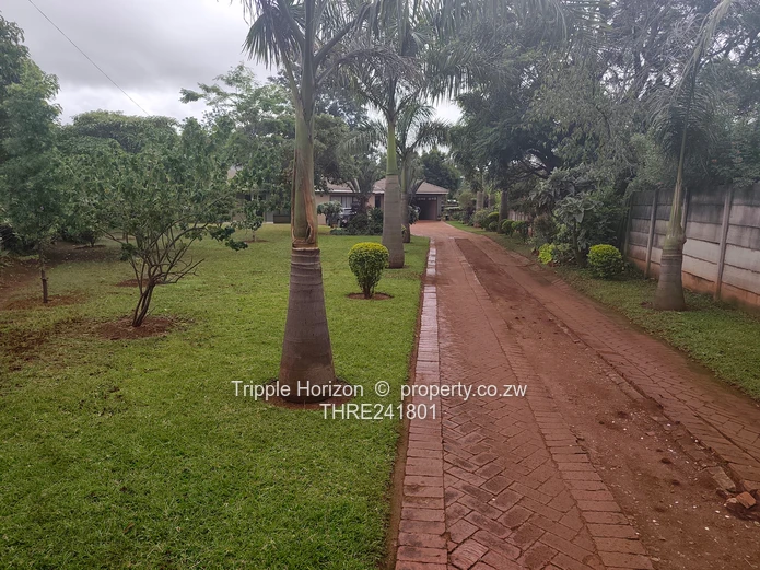 Borrowdale- Sam Levy (Sole Mandate)