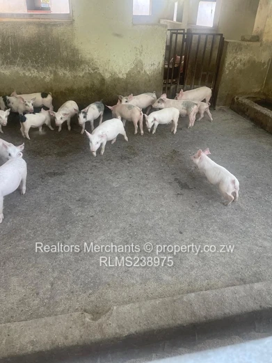 Ruwa Agri-Residential Plot For Sale