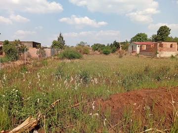 Stands & Residential Land