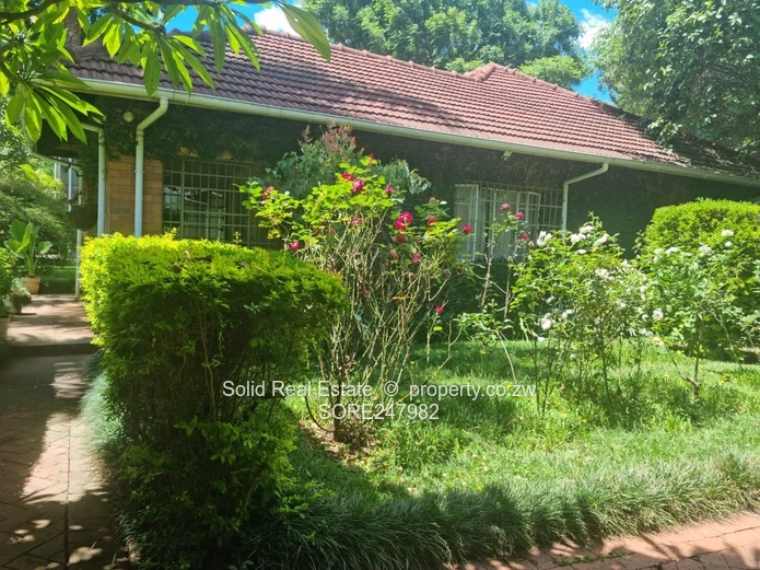 Grab this fully furnished house to let in Avondale 