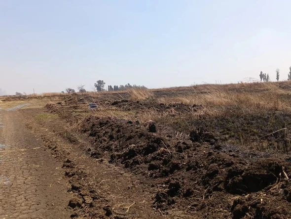 Stands & Residential Land