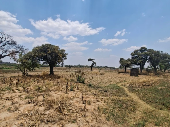 Commercial & Industrial Land