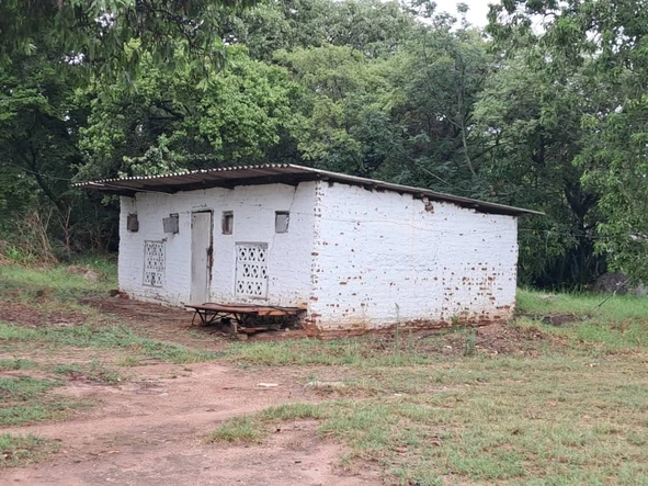 Farm & Agricultural Land