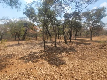 Farm & Agricultural Land