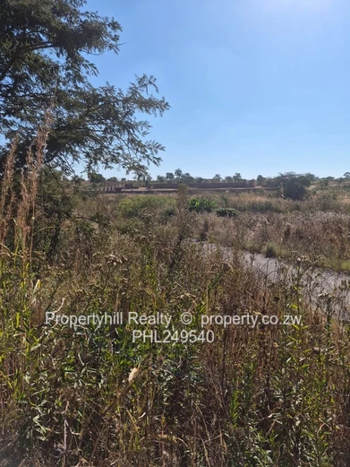 Pomona : Buckland Terraces (Sole Mandate)