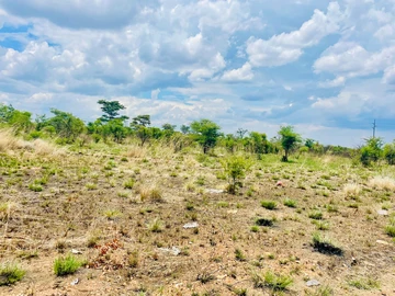 Farm & Agricultural Land