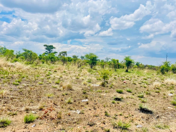 Farm & Agricultural Land