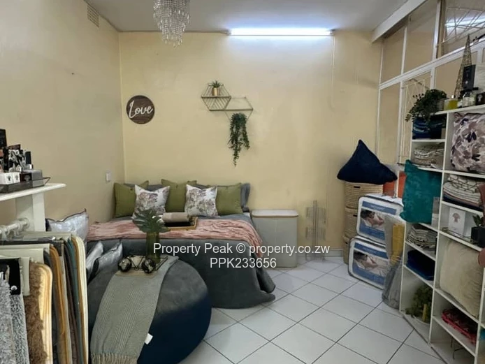 Duplex Flat For Sale In Avenues