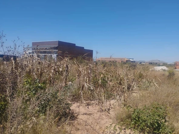 Stands & Residential Land