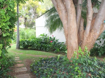 2 Bedroom Garden Flat