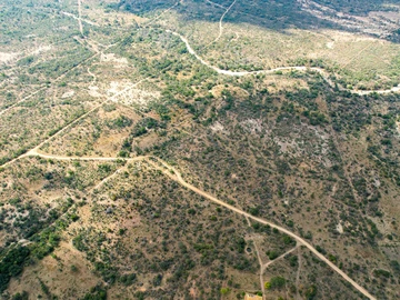 Farm & Agricultural Land