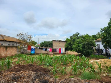 Stands & Residential Land