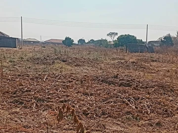 Stands & Residential Land