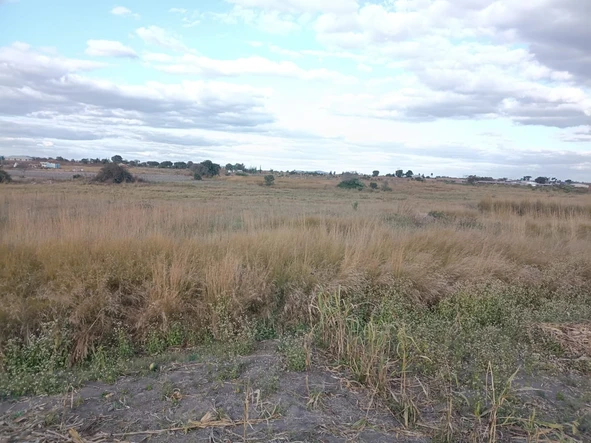 Farm & Agricultural Land