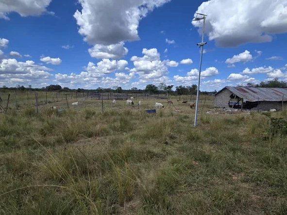 Farm & Agricultural Land