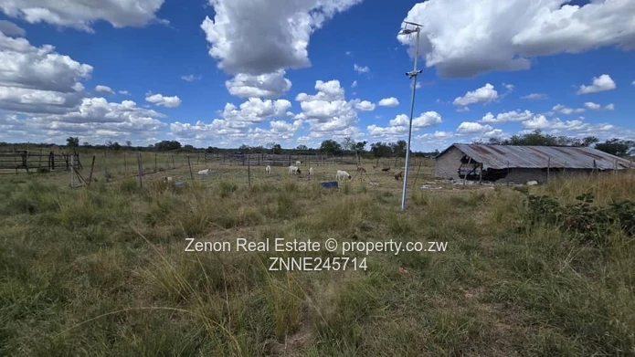 Beatrice Plot For Sale (Sole Mandate)