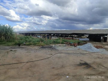 Farm & Agricultural Land