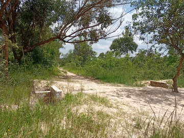 Farm & Agricultural Land