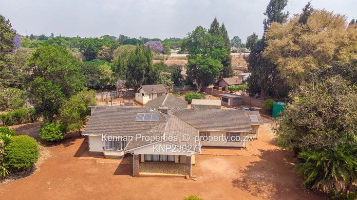 Renovator's Dream - Nostro!