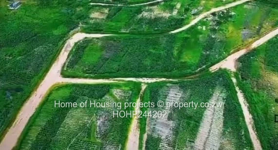 Tafara 300m² Stand — Access Control & Gravel Roads (Sole Mandate)