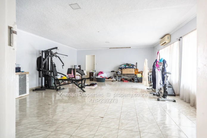 Potential On Arcturus Road - Nostro!