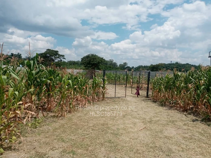 Land for Sale in Strathaven HLSC185779