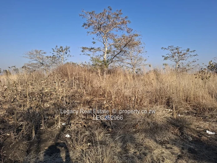 Unlock the Potential of Virgin Land in Selous,Land That Works for Your Future
