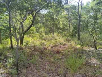 Farm & Agricultural Land