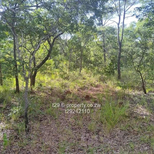 Norton chegutu selous plots for sale