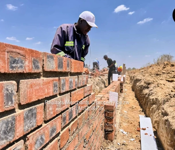 Golden Estate Amalinda Stands For Sale