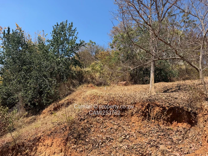 6005 sqm Stand, Borrowdale Brooke inside the boom gateTarred, Tree-Lined Main Road