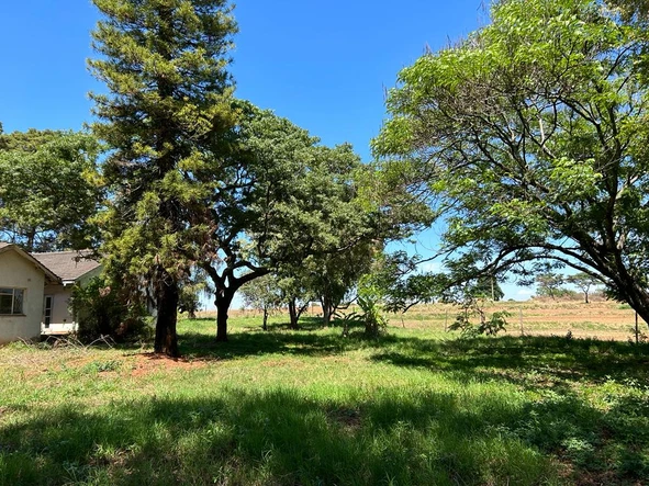 Farm & Agricultural Land