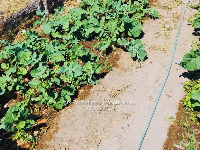 Farm For Sale In Ngezi