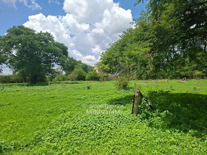 Beatrice Farm for sale