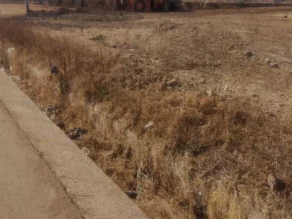 Commercial & Industrial Land