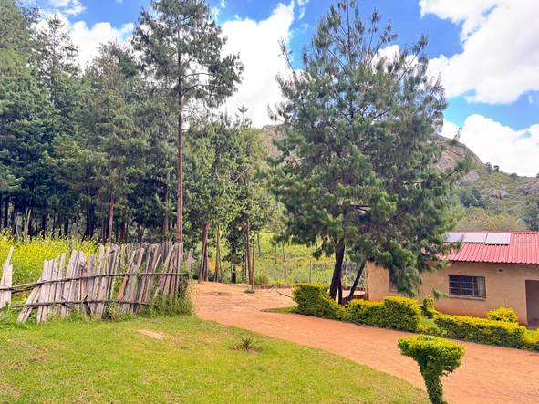 Farm & Agricultural Land