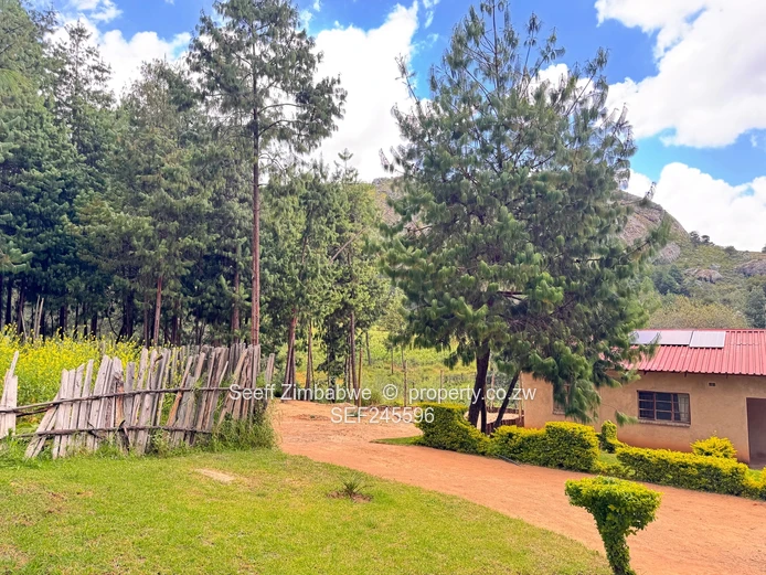 14-Hectare Agri-Residential Plot along Chamakova