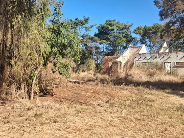 Farm & Agricultural Land