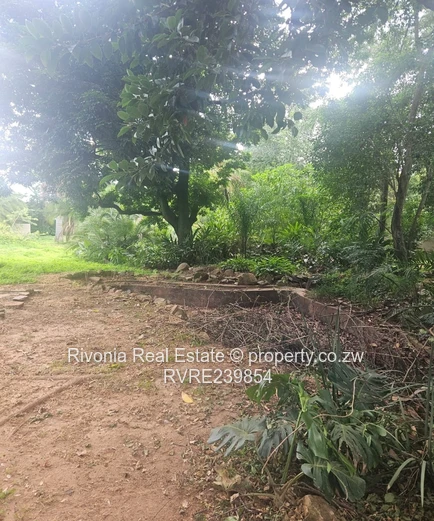 Newlands 4Beds On 8000Sqm Potential For Development 