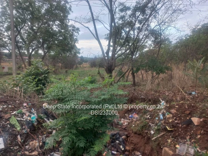 Mabelereign stand for sale 